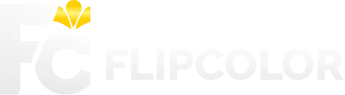 Flip Color - Agência Digital